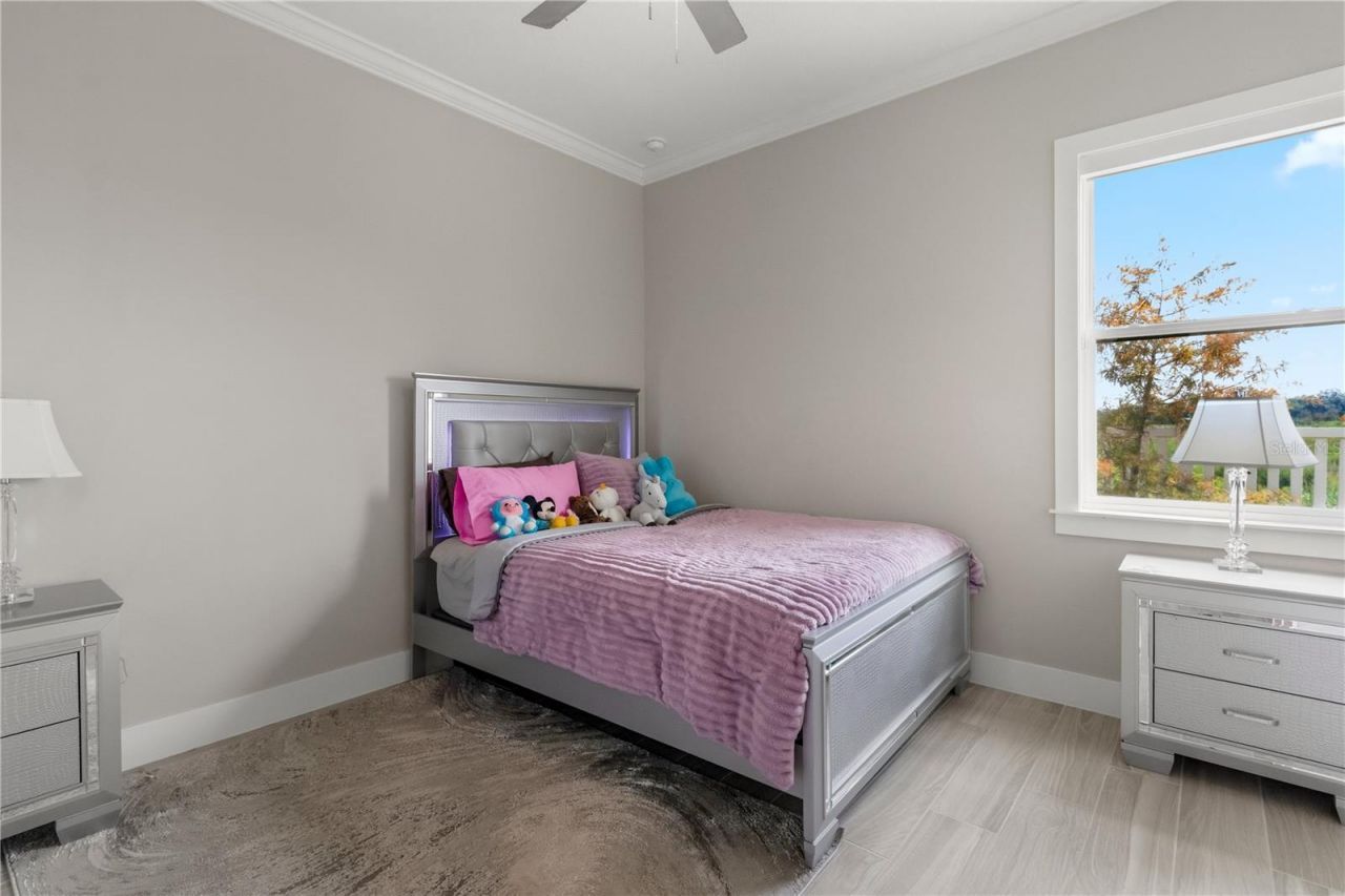10782 Torchwood Sea Way, San Antonio, FL 33576 Photo
