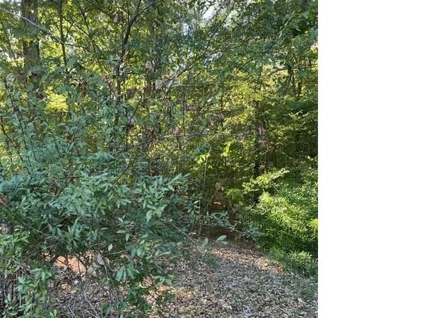 425 HICKORY WOODS LN, Eads, TN 38028