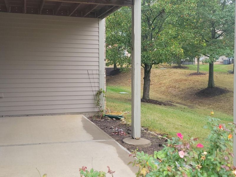 1433 Taramore Drive, Florence, KY 41042 Photo 23