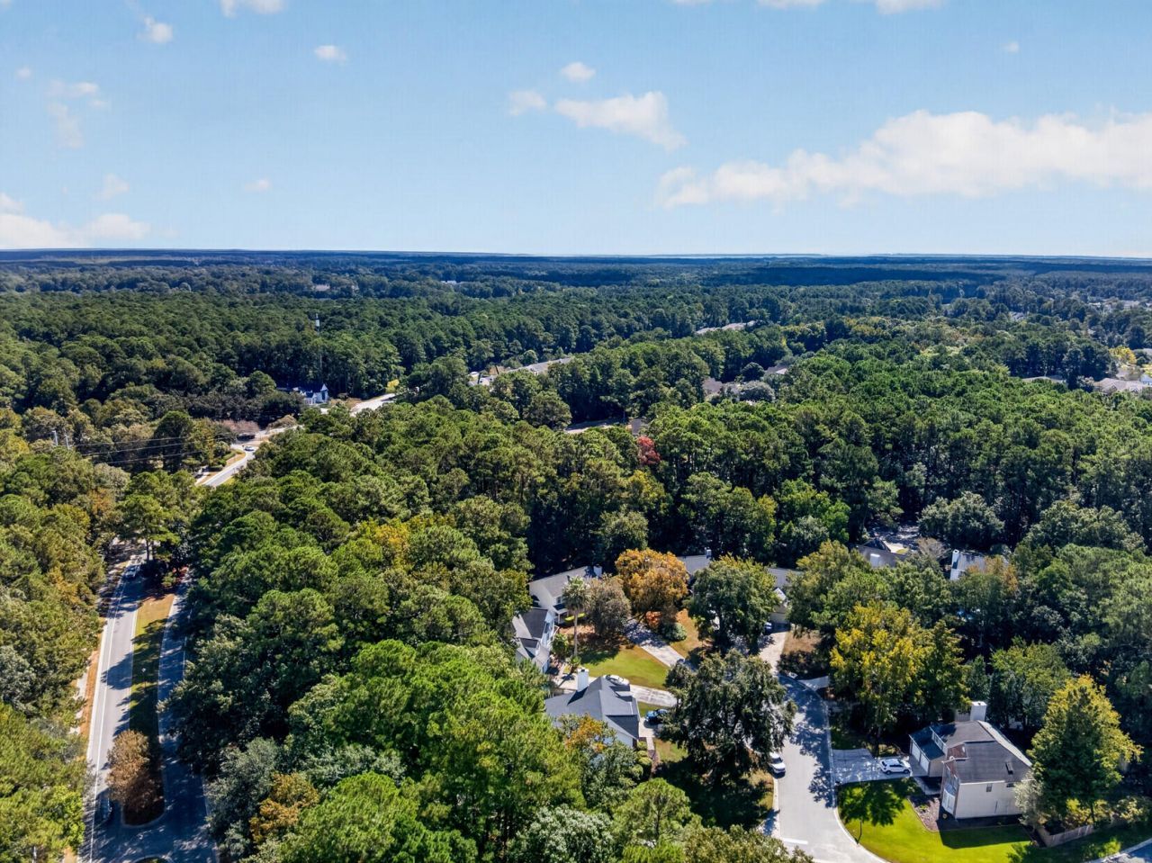 3212 Rose Walk Court Photo 48