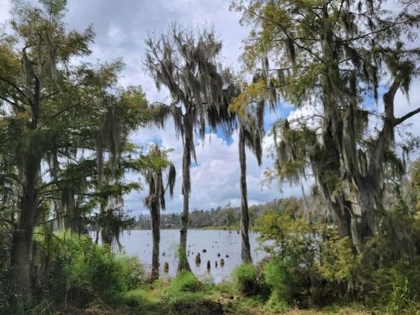 6135 NW 31ST CIRCLE, Jennings, FL 32053