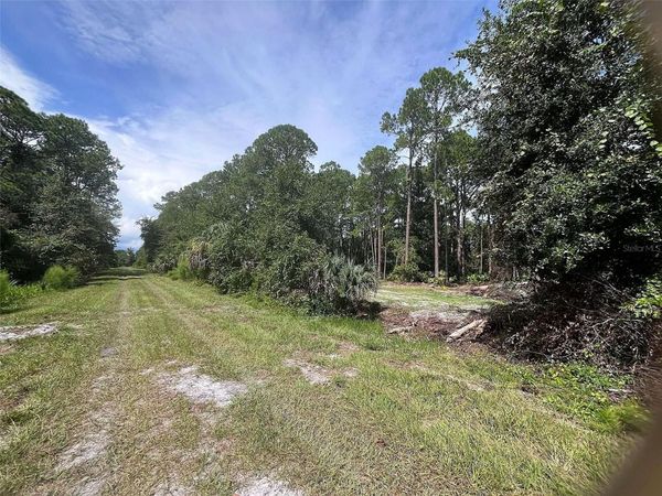 334 REDWOOD BOULEVARD, GEORGETOWN, FL 32139
