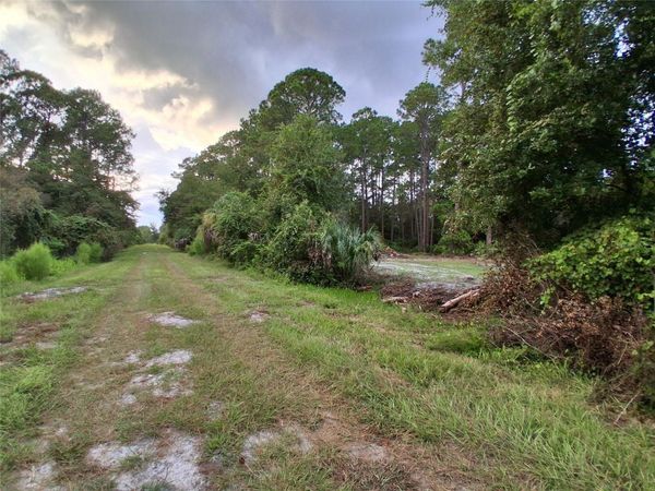 334 REDWOOD BOULEVARD , GEORGETOWN, FL 32139