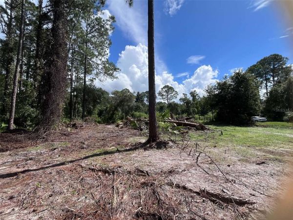 334 REDWOOD BOULEVARD, GEORGETOWN, FL 32139