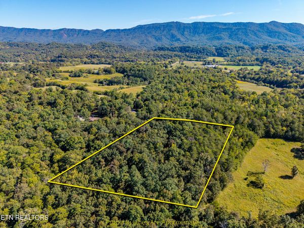 1903 Tree Tops Lane, Seymour, TN 37865