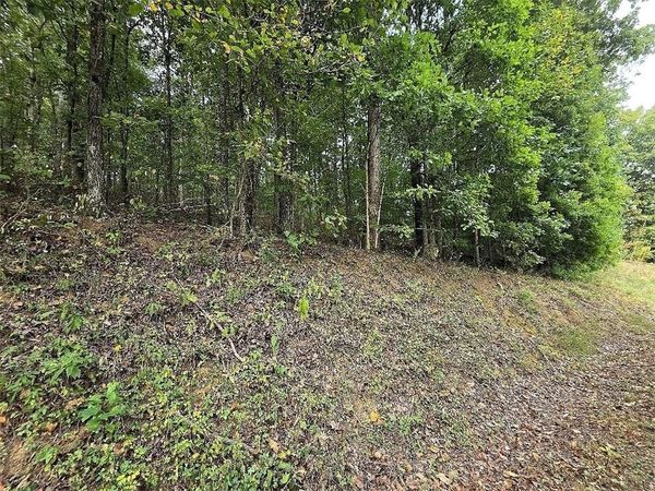 0 Big Oak Tree Road , Adairsville, GA 30103