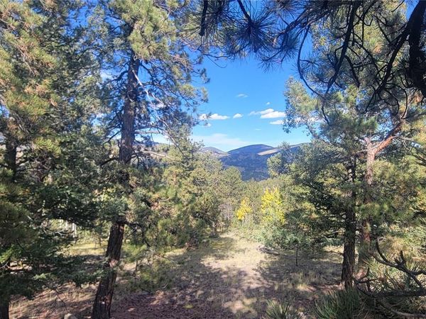 505 Buck Drive, Guffey, CO 80820