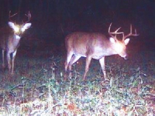 180 County Road 611 Country Road, Walnut, MS 38683