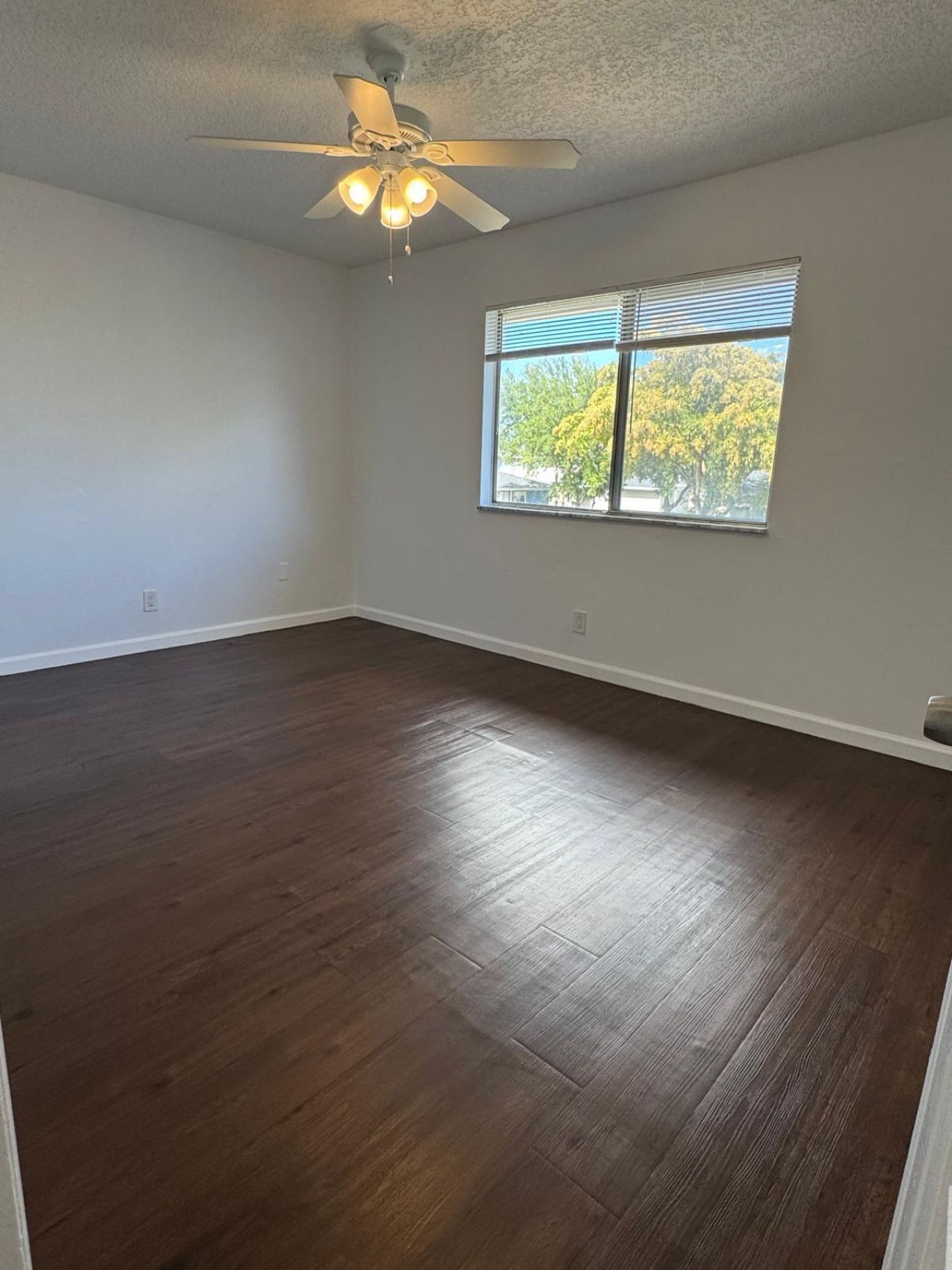804 W Tiffany Drive, Unit 3, Mangonia Park, FL 33407 Photo