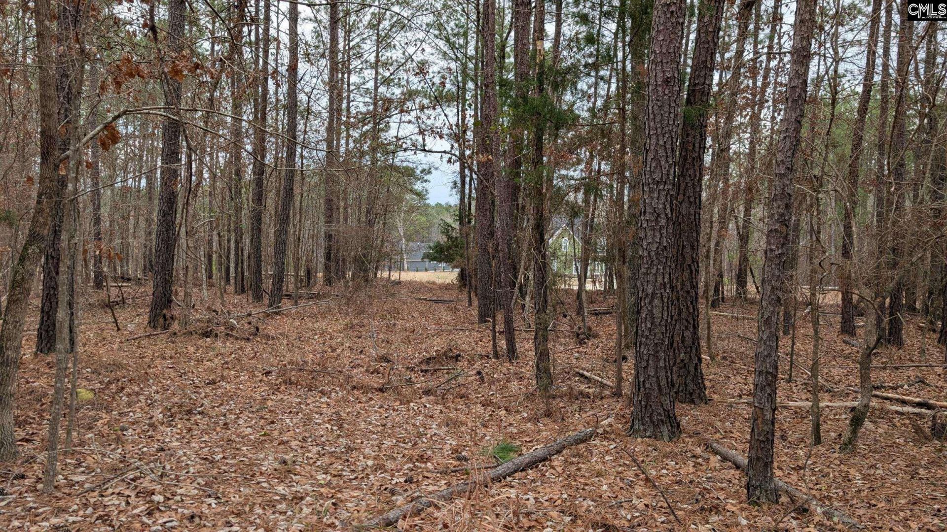 Lot 3 Retreat Way  Photo 13