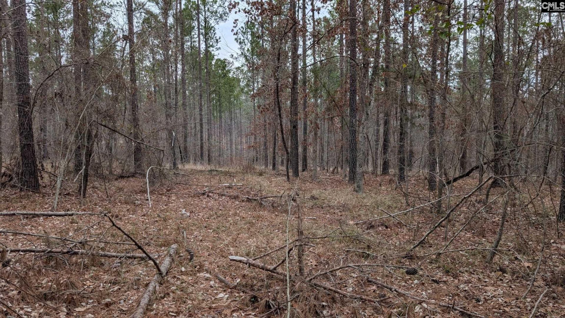 Lot 3 Retreat Way  Photo 14