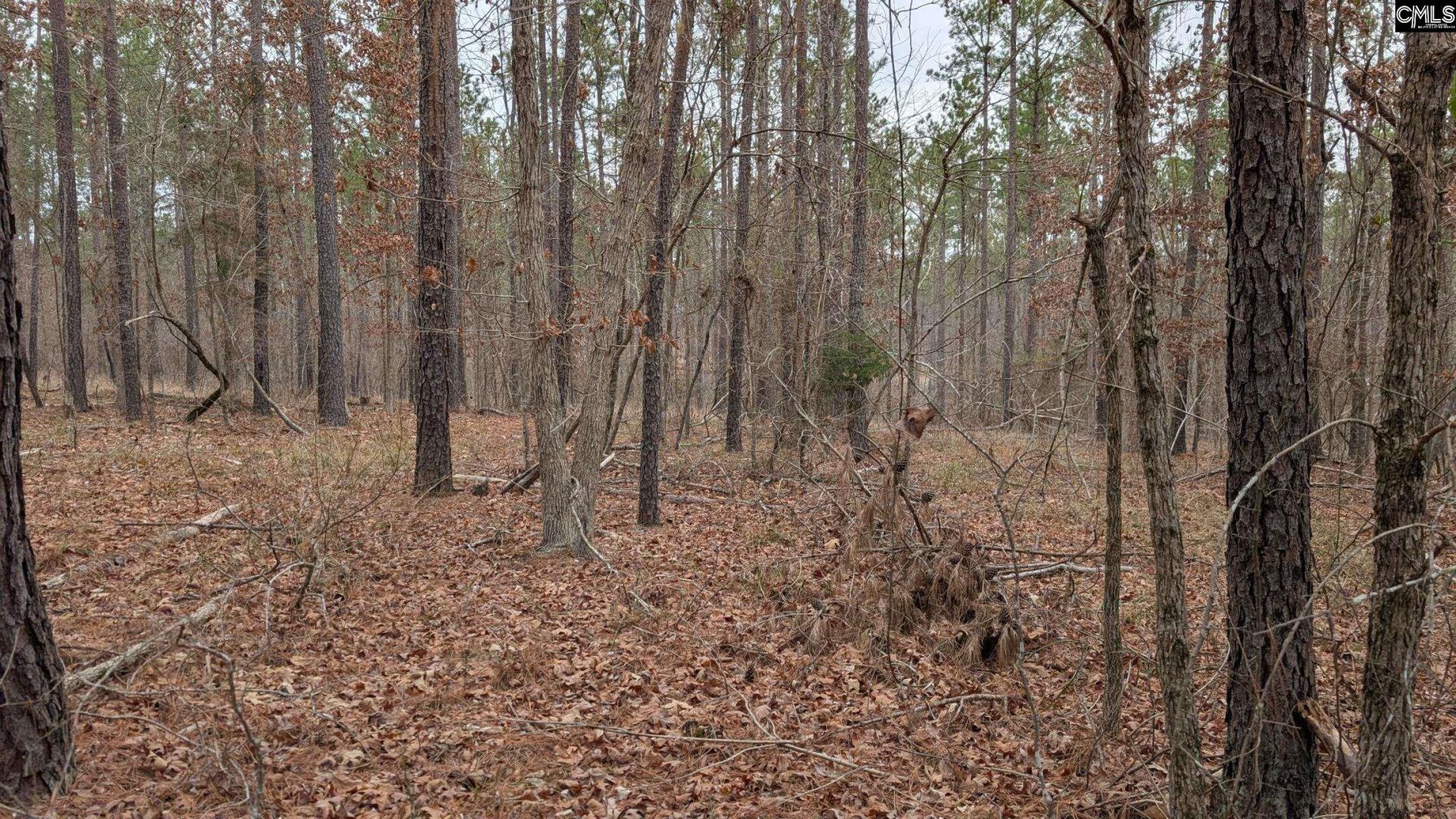 Lot 3 Retreat Way  Photo 16