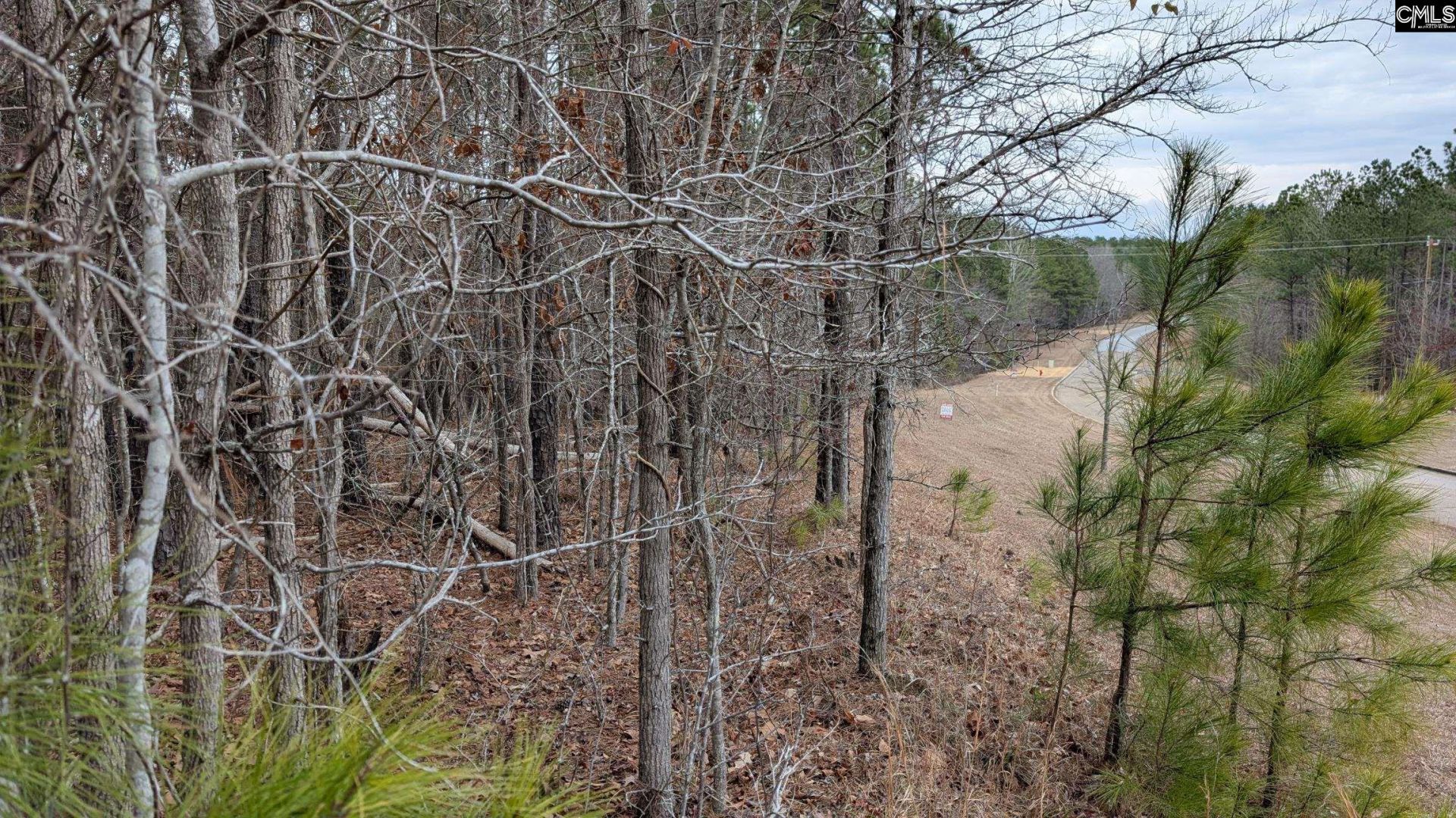 Lot 3 Retreat Way  Photo 21