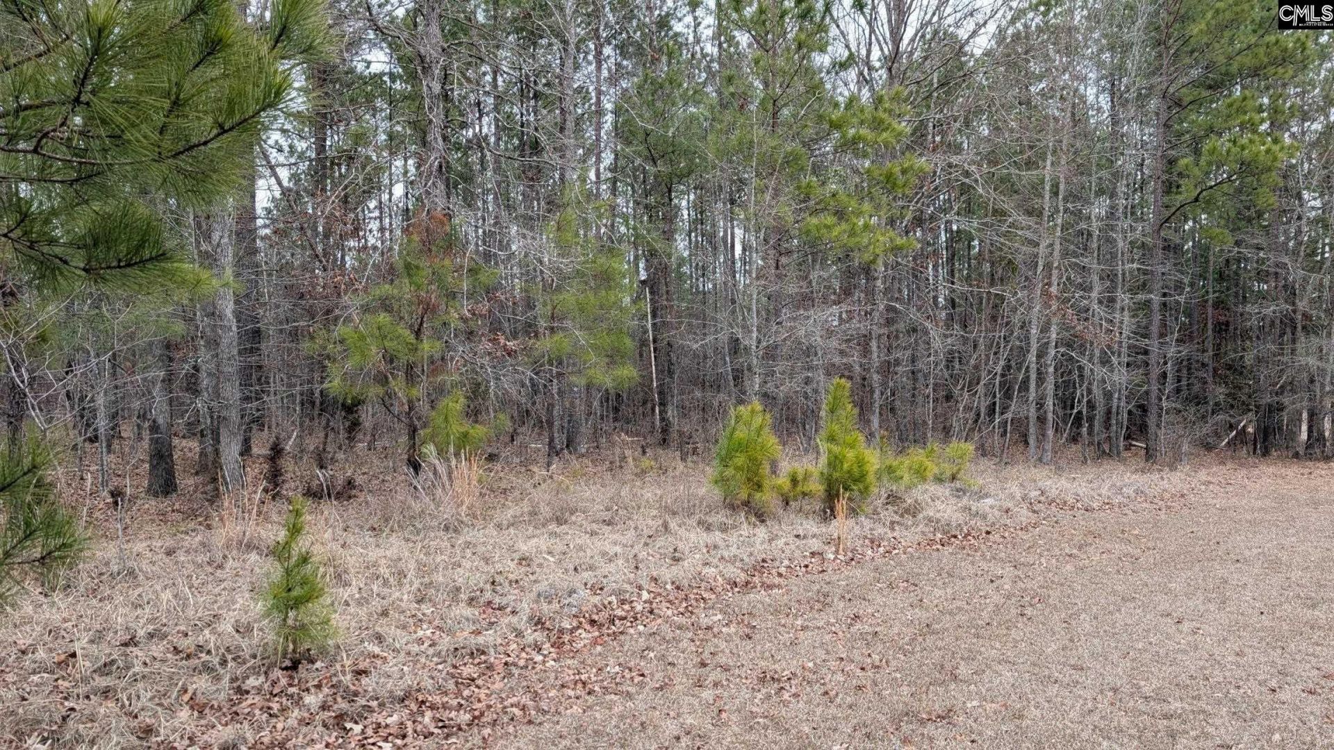 Lot 3 Retreat Way  Photo 4