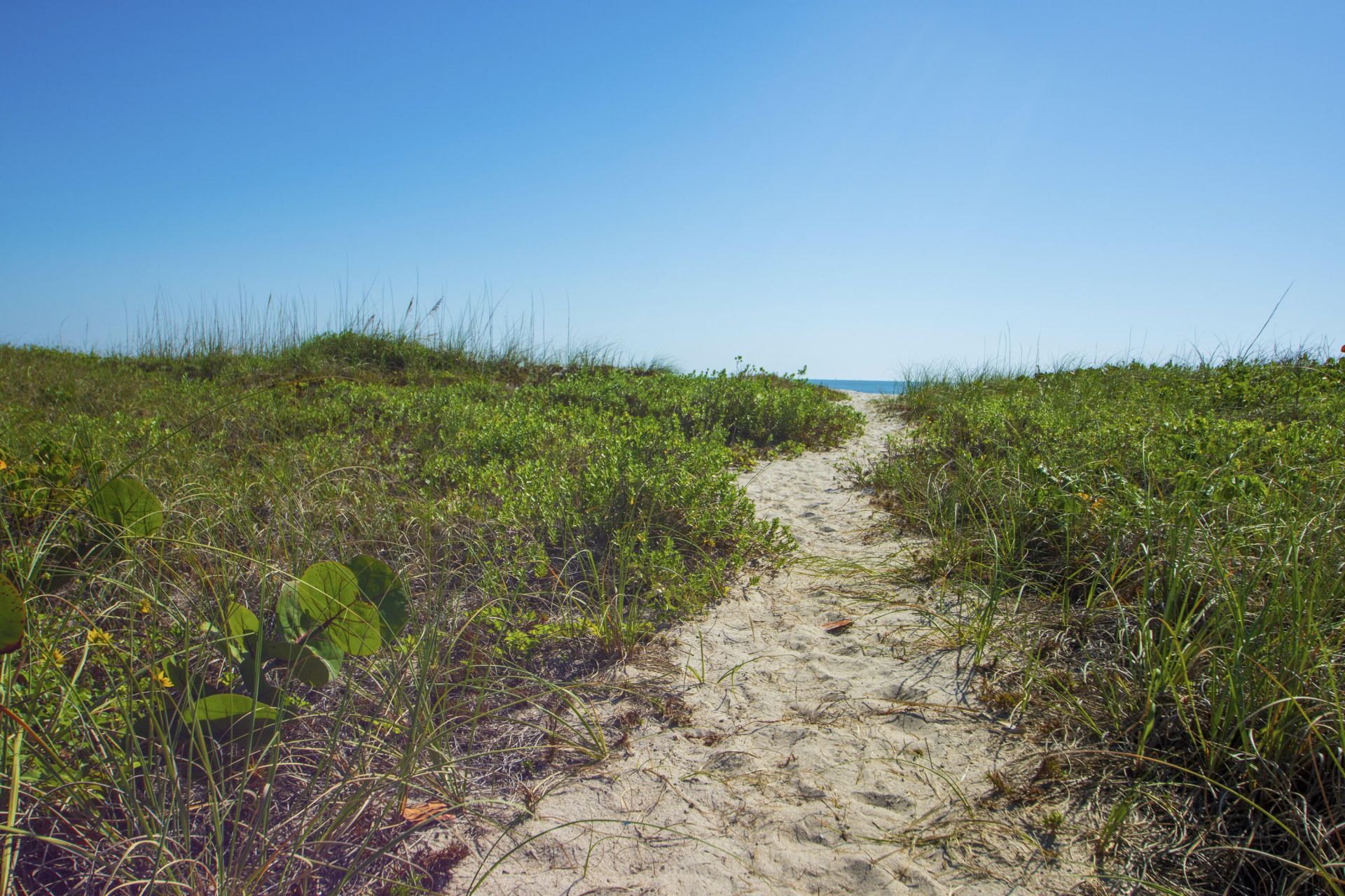 5159 Jimmy Buffett Mem Highway, Fort Pierce, FL 34949 Photo