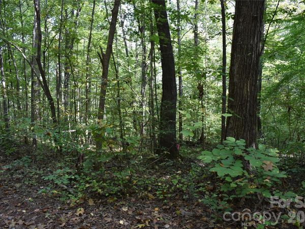 #167 Rolling Road , Lincolnton, NC 28092