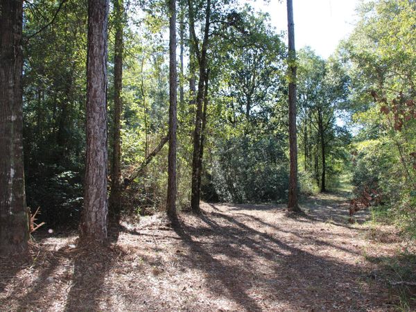 TBD E Chapel Road, Laurel Hill, FL 32567