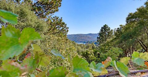 20694 Wildwood West Dr, Penn Valley, CA 95946 Photo