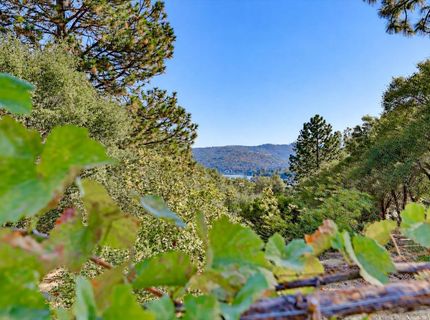 20694 Wildwood West Dr, Penn Valley, CA 95946 Photo