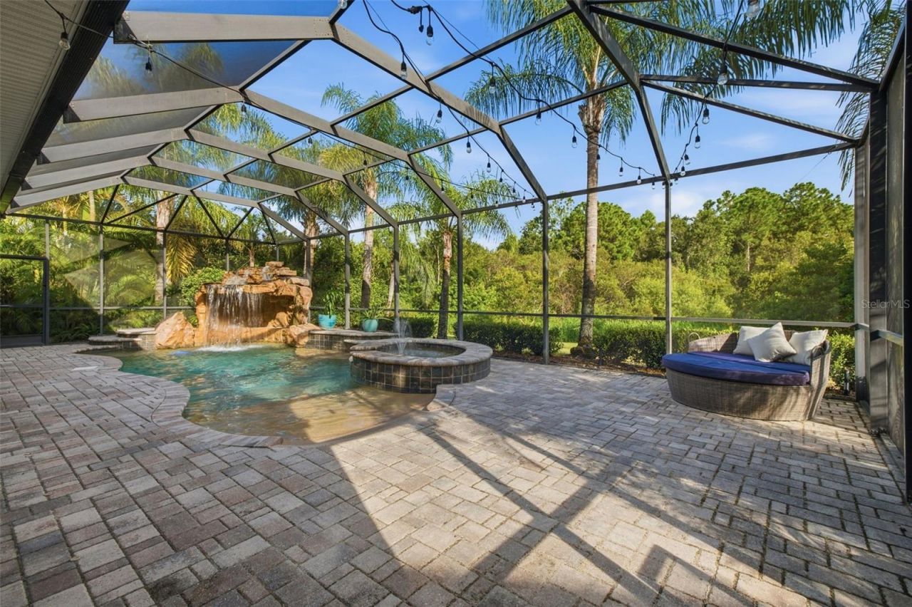 14637 Canopy Drive, Tampa, FL 33626 Photo