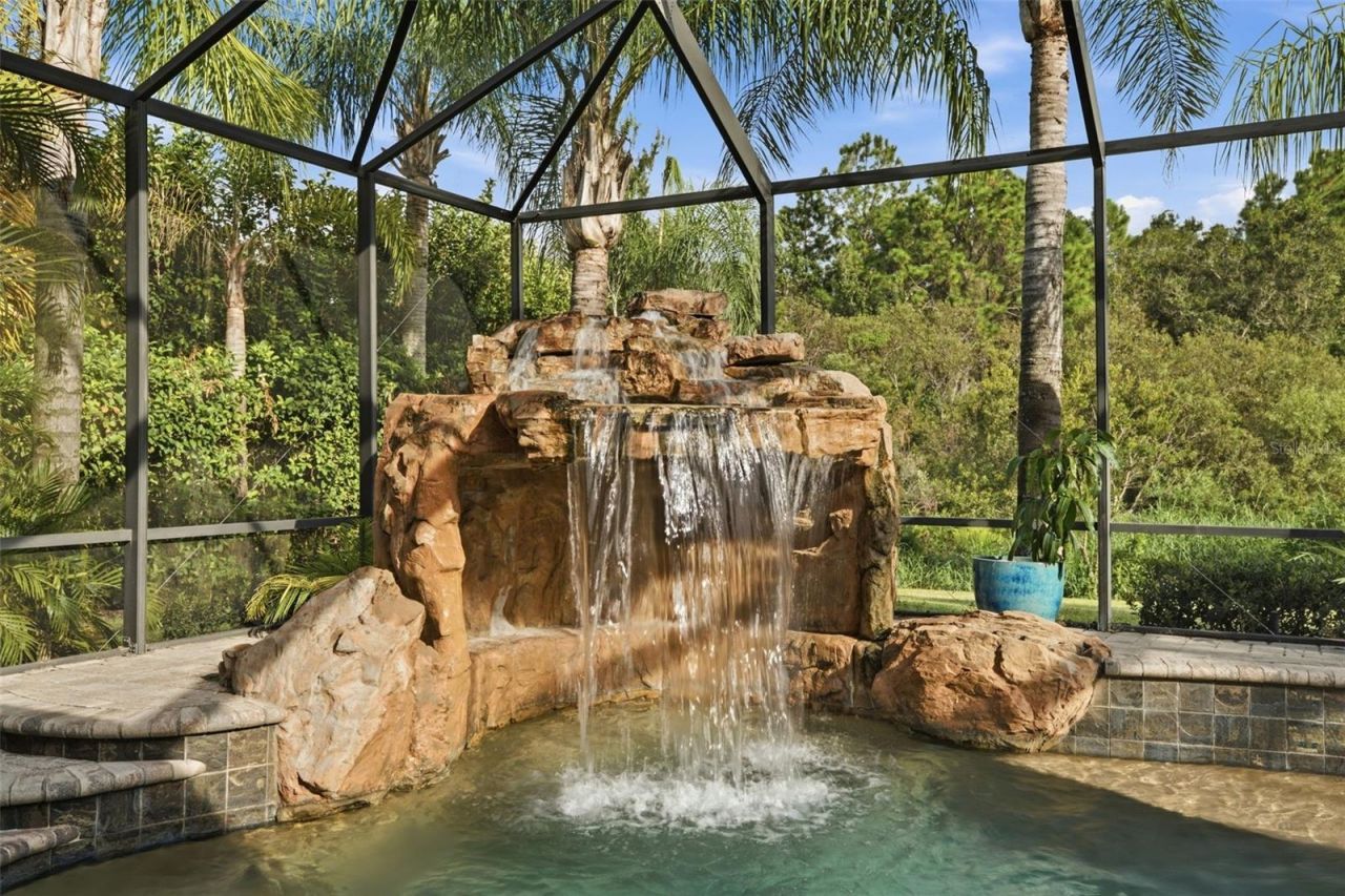 14637 Canopy Drive, Tampa, FL 33626 Photo