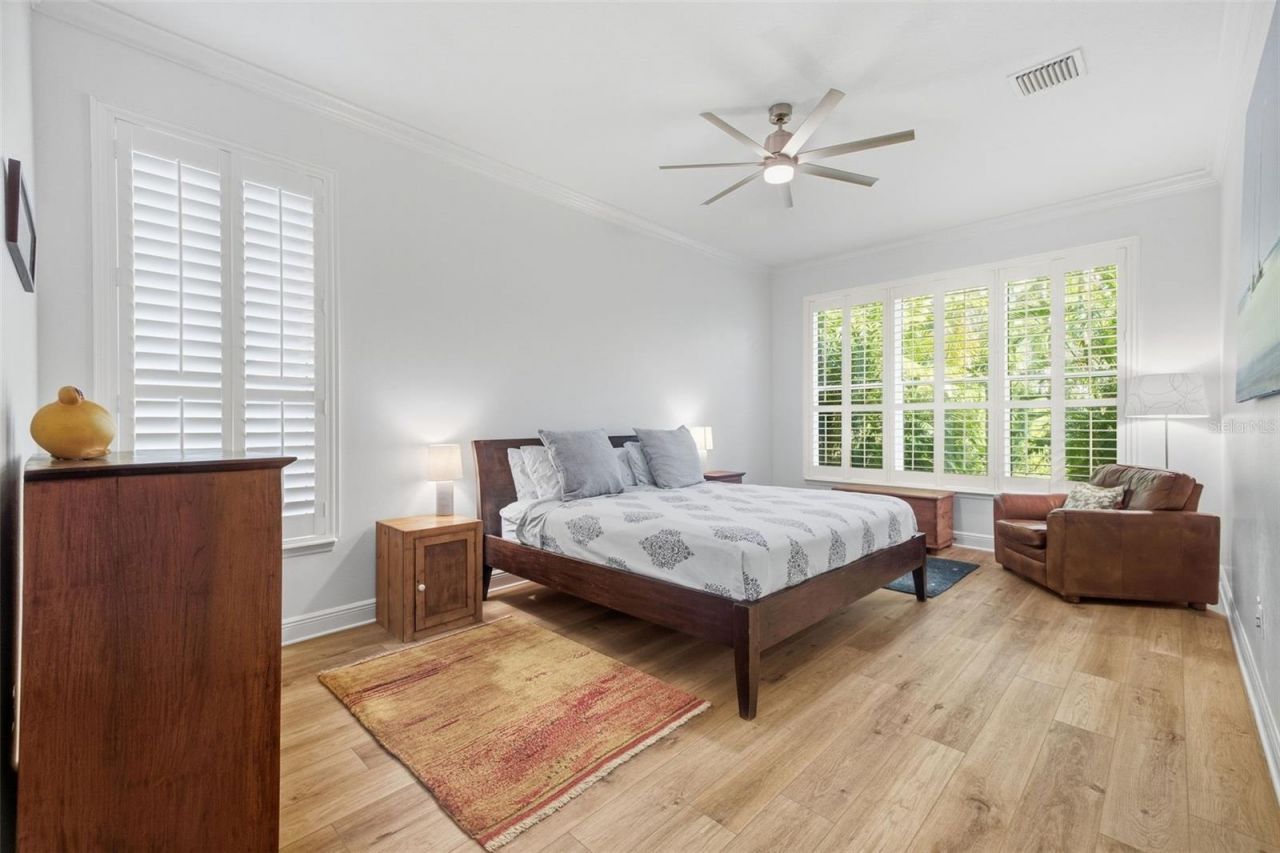 14637 Canopy Drive, Tampa, FL 33626 Photo