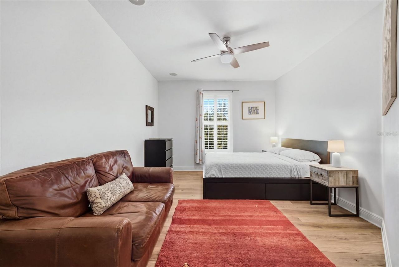 14637 Canopy Drive, Tampa, FL 33626 Photo