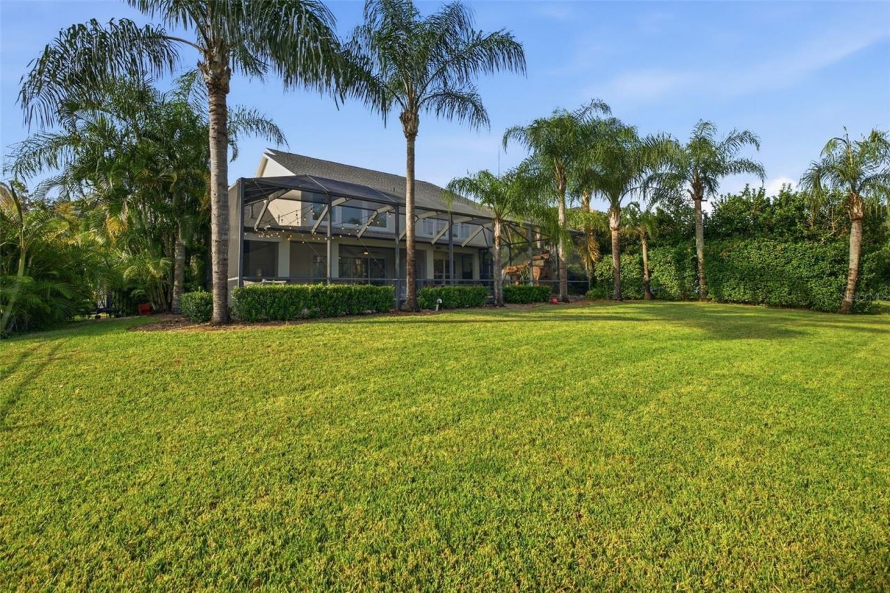14637 Canopy Drive, Tampa, FL 33626 Photo
