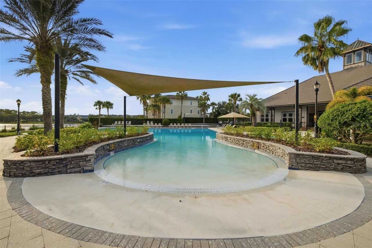 14637 Canopy Drive, Tampa, FL 33626 Photo