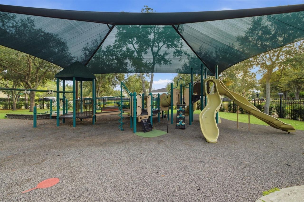 14637 Canopy Drive, Tampa, FL 33626 Photo