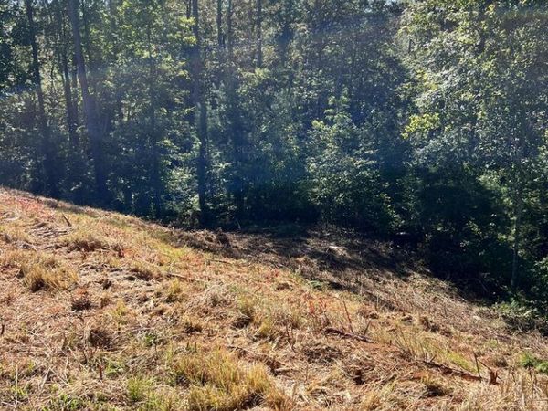 LOT 229 Woodstone Trail, Ellijay, GA 30540