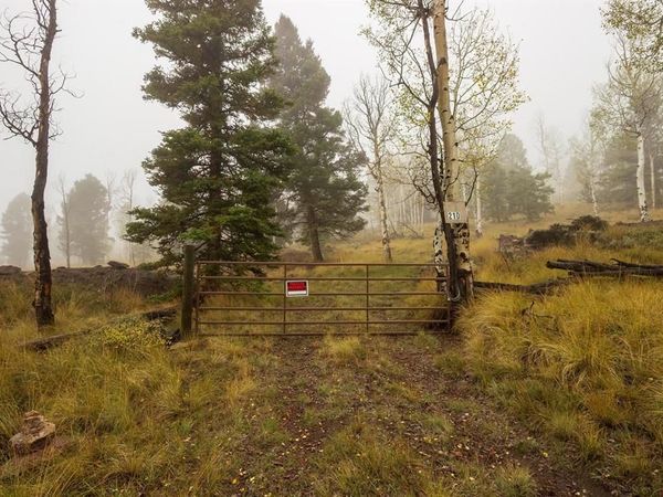 210 Kebler Trail, Powderhorn, CO 81243