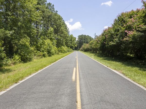 0 Tom Cribb Rd. , Hemingway, SC 29554