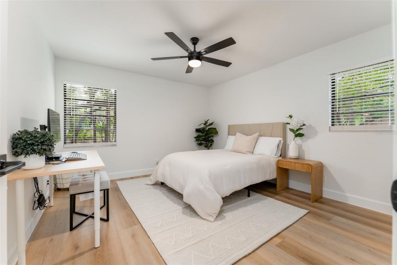 950 Waverly Street, Oldsmar, FL 34677 Photo