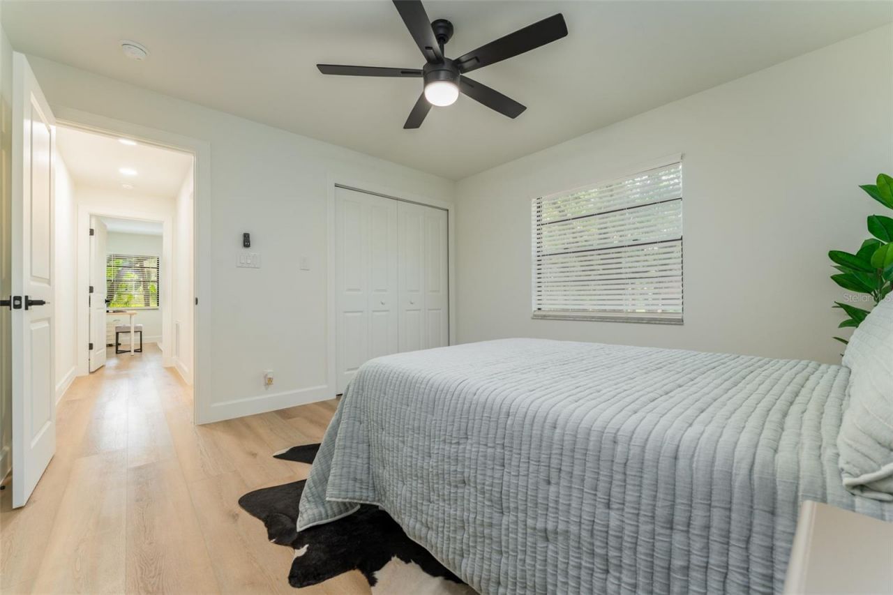 950 Waverly Street, Oldsmar, FL 34677 Photo