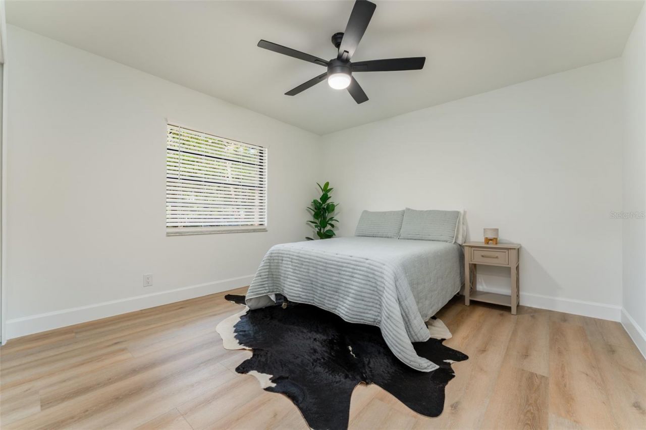 950 Waverly Street, Oldsmar, FL 34677 Photo