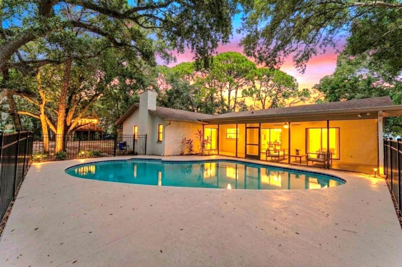 950 Waverly Street, Oldsmar, FL 34677 Photo