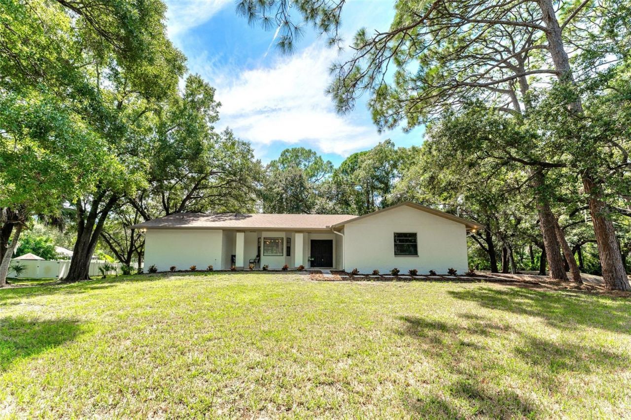 950 Waverly Street, Oldsmar, FL 34677 Photo