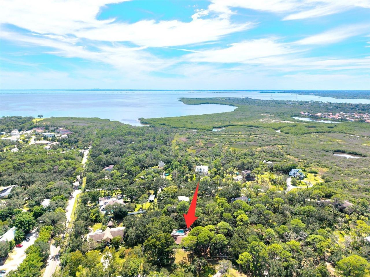 950 Waverly Street, Oldsmar, FL 34677 Photo