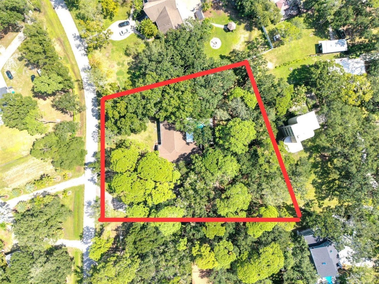 950 Waverly Street, Oldsmar, FL 34677 Photo
