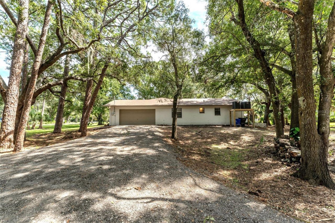 950 Waverly Street, Oldsmar, FL 34677 Photo