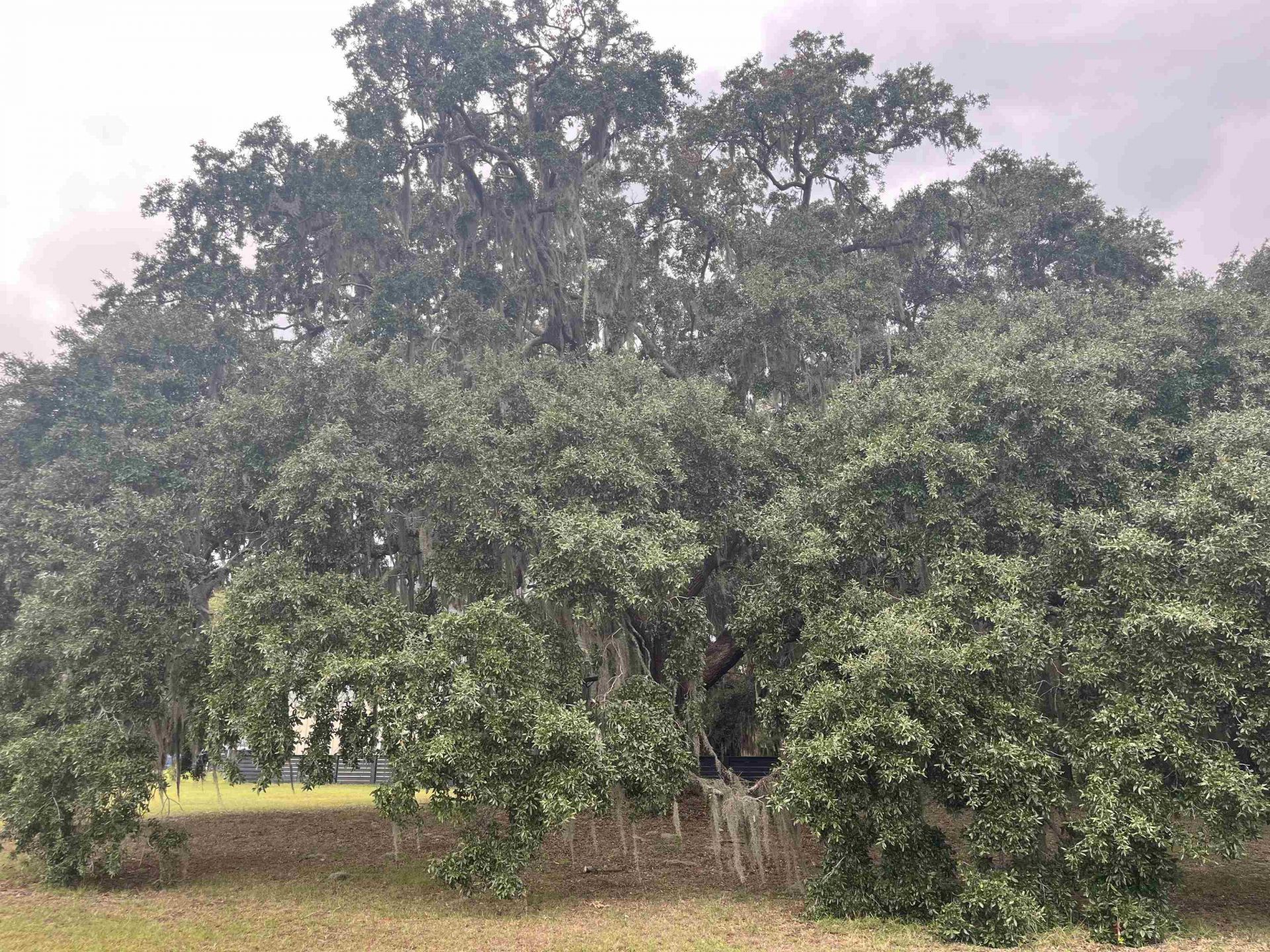 Lot 50 Oak Bay Dr.  Photo 16