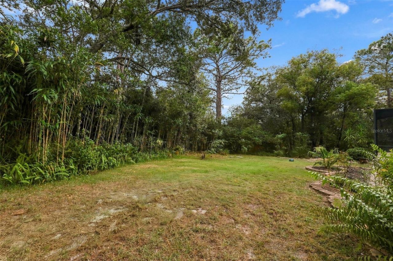 11 Sweetbay Court, Homosassa, FL 34446 Photo