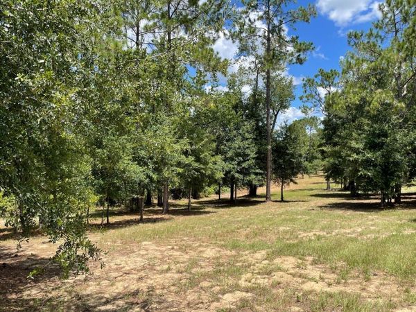 CALHOUN ROAD, EUSTIS, FL 32726