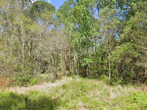 217 DOGWOOD AVENUE , GEORGETOWN, FL 32139