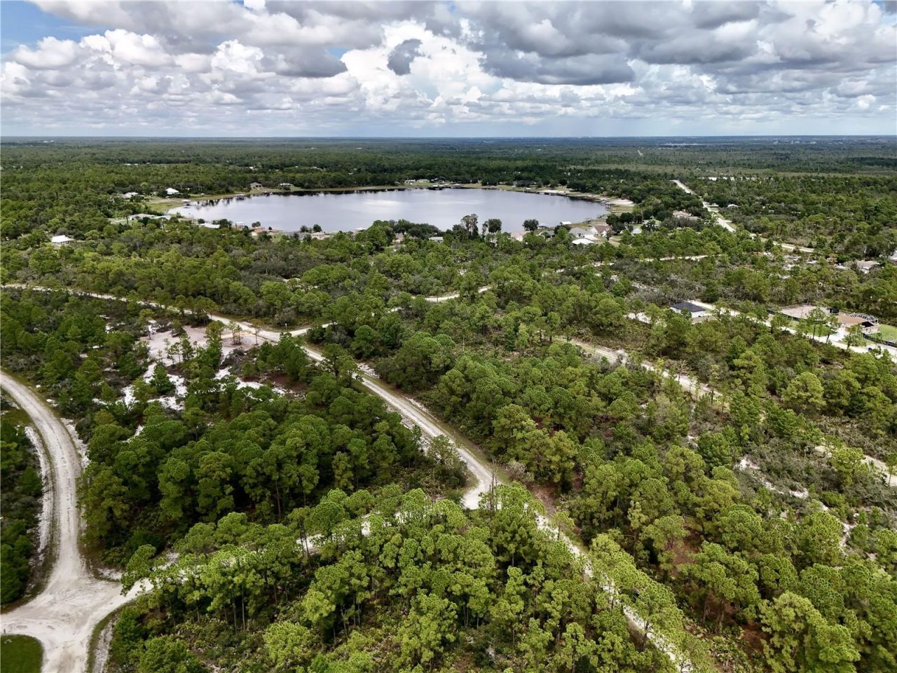 1137 Redbird Street , Lake Placid, FL 33852 Photo