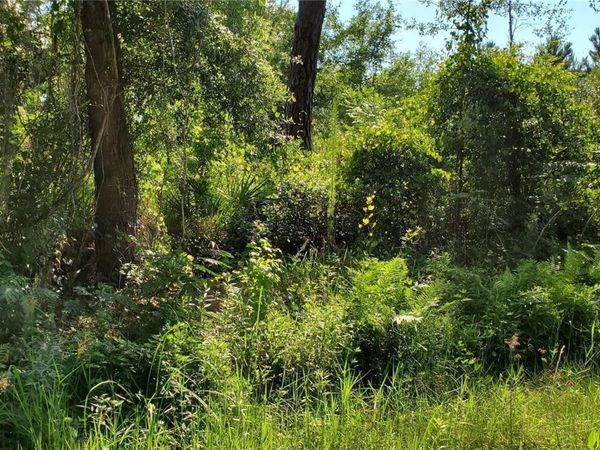 103 BOWFIN DRIVE , SATSUMA, FL 32189