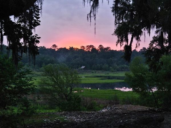 11452 75TH LOOP, Live Oak, FL 32060