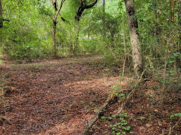 204 Shell Drive, Crestview, FL 32536
