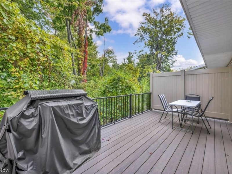 762 Pine Spring Drive, Painesville, OH 44077 Photo 36